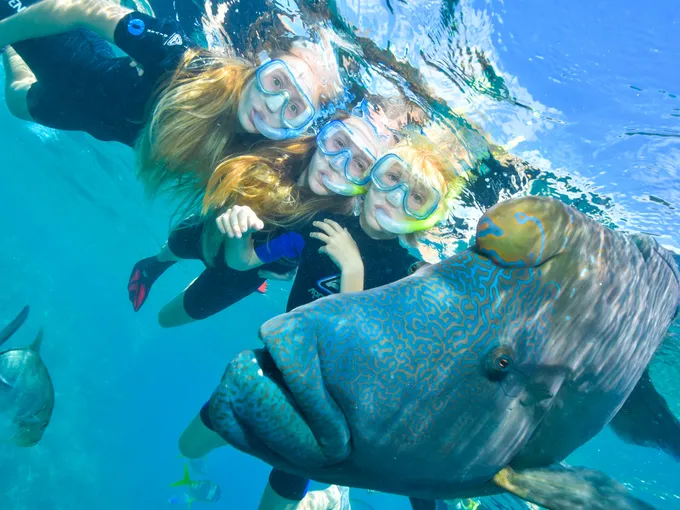 Great Barrier Reef One-Way Helicopter Flight, Pontoon Tour & Return Cruise | Experience Oz