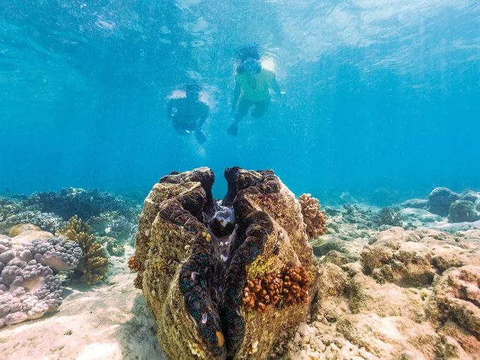 Great Barrier Reef Helicopter Flight Out & Cruise Return to Cairns | Experience Oz