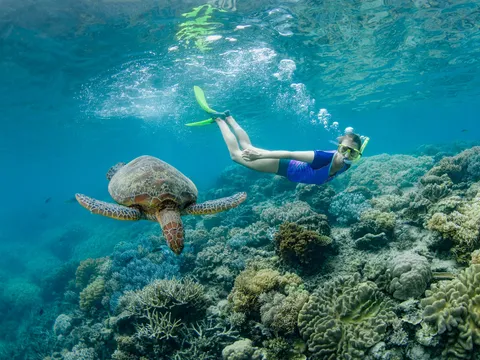 Great Barrier Reef Day Tour with Return Helicopter Flight