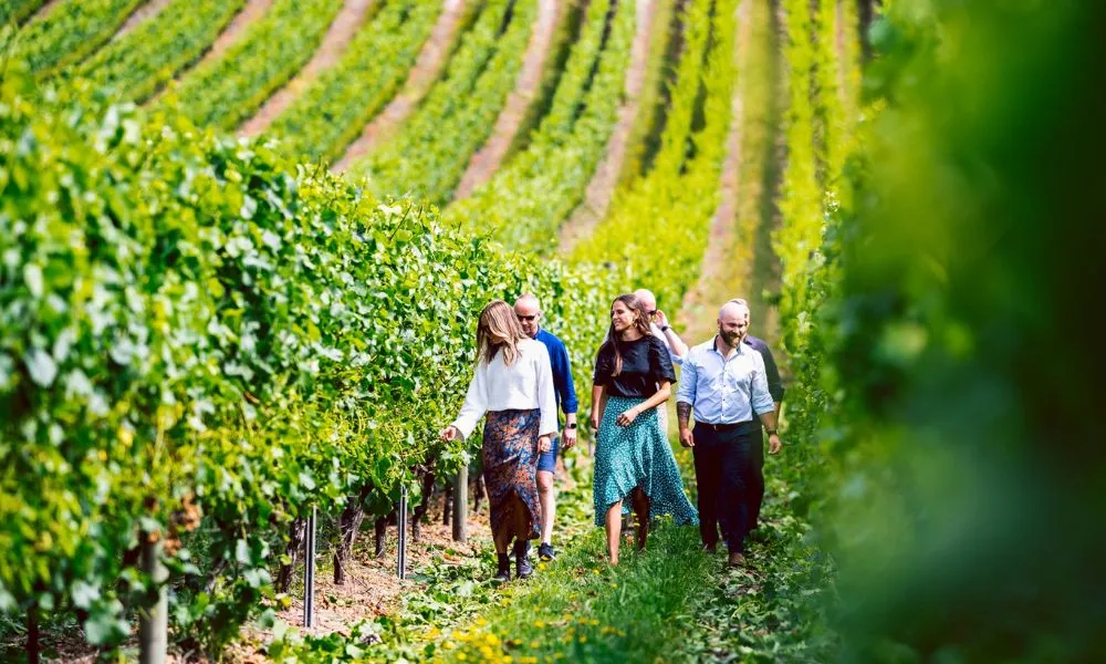 Hobart Craft Beverage Tasting Tour - Full Day | Experience Oz-4