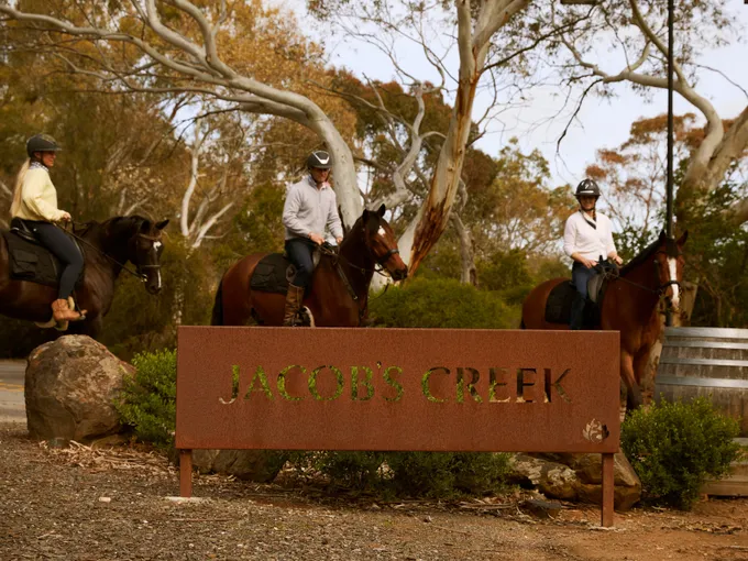 Vineyard Horse Ride, Tasting & Picnic - For 2 | Experience Oz