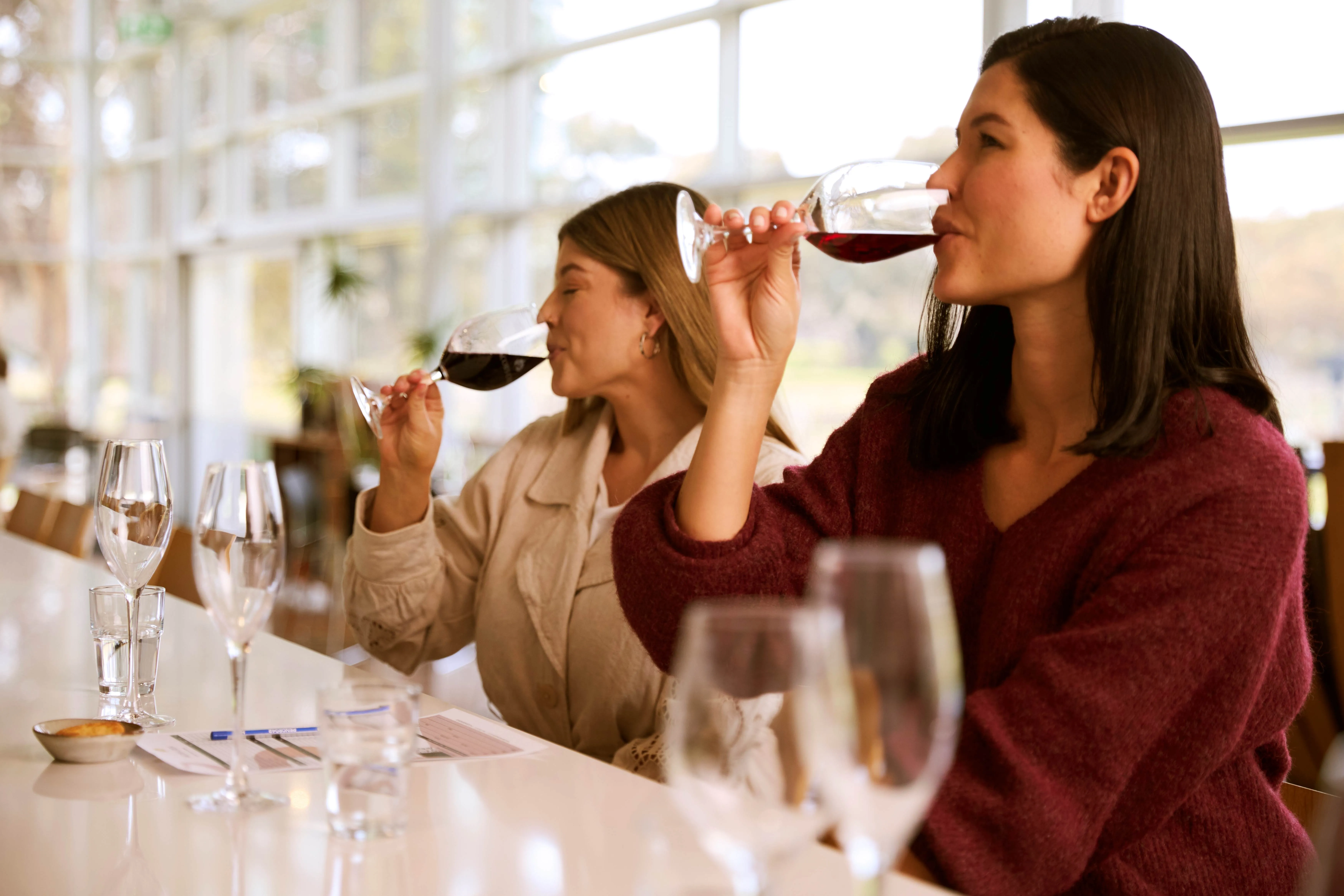 Vineyard Horse Ride, Tasting & Picnic - For 2 | Experience Oz-3