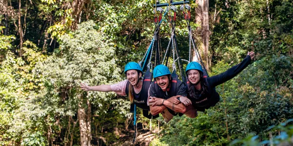 Giant Jungle Swing including photo and video