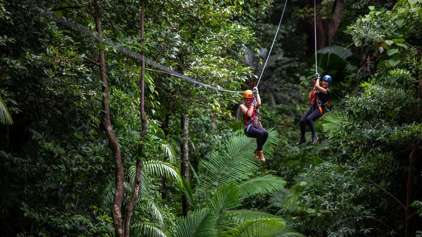 Daintree Rainforest & Great Barrier Reef - 2 Days | Experience Oz