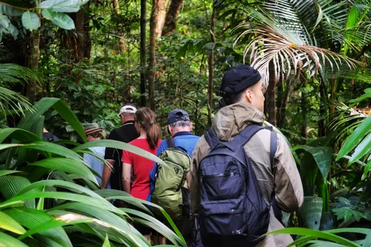 Daintree Rainforest & Great Barrier Reef Adventure - 2 Days