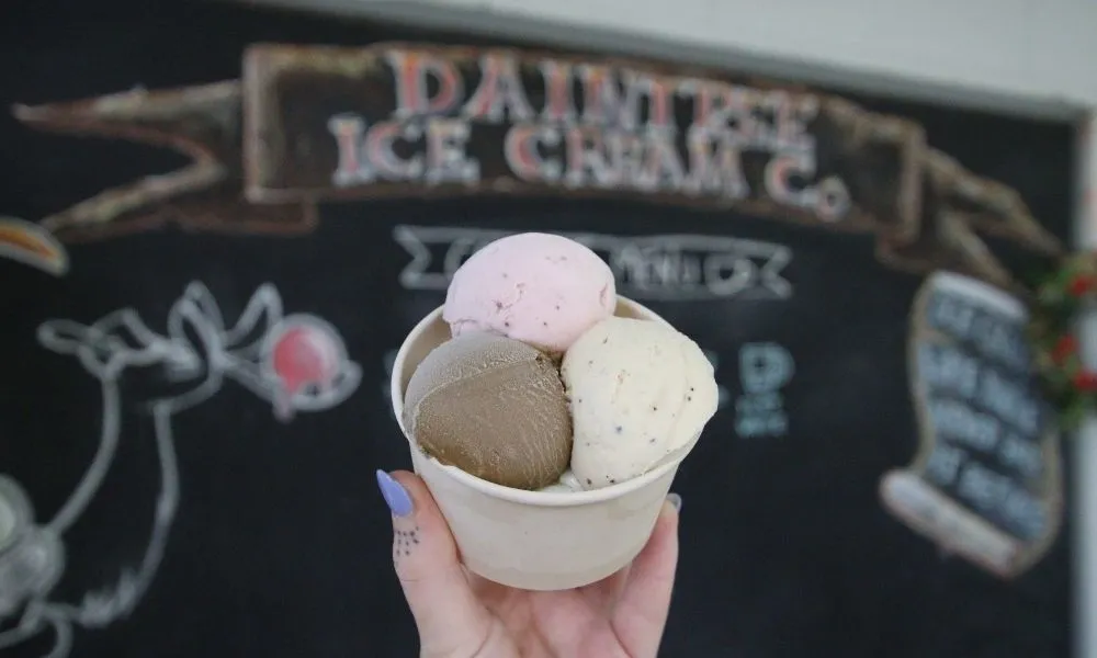 Daintree Rainforest & Great Barrier Reef - 2 Days | Experience Oz-8