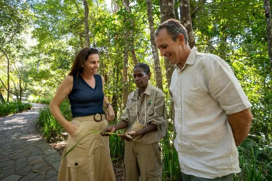 Kuranda Rail & Waterfall Tour from Port Douglas - Full Day