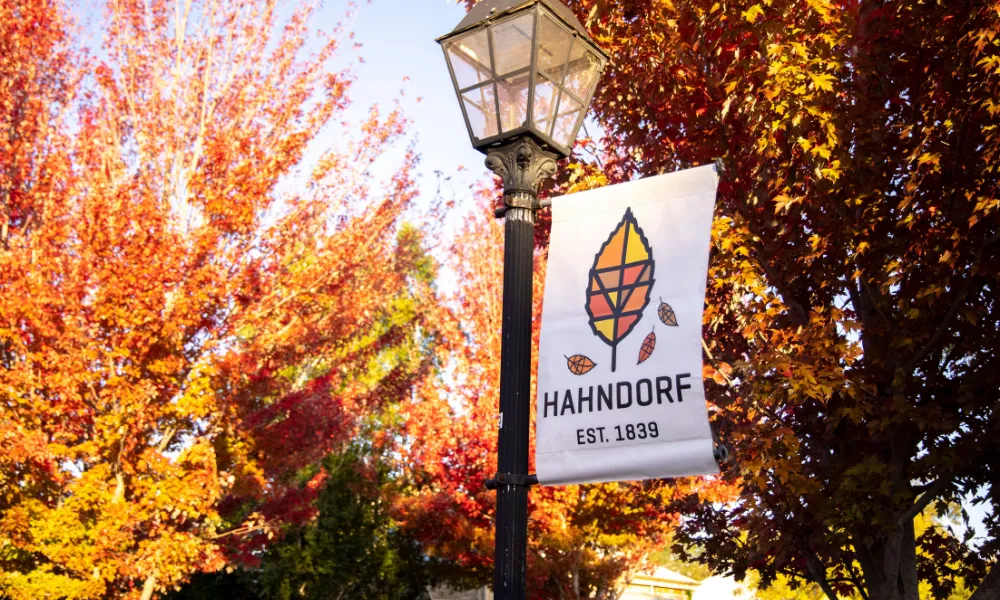 Adelaide Highlight Tour & Wine Tasting - Full Day | Experience Oz-3