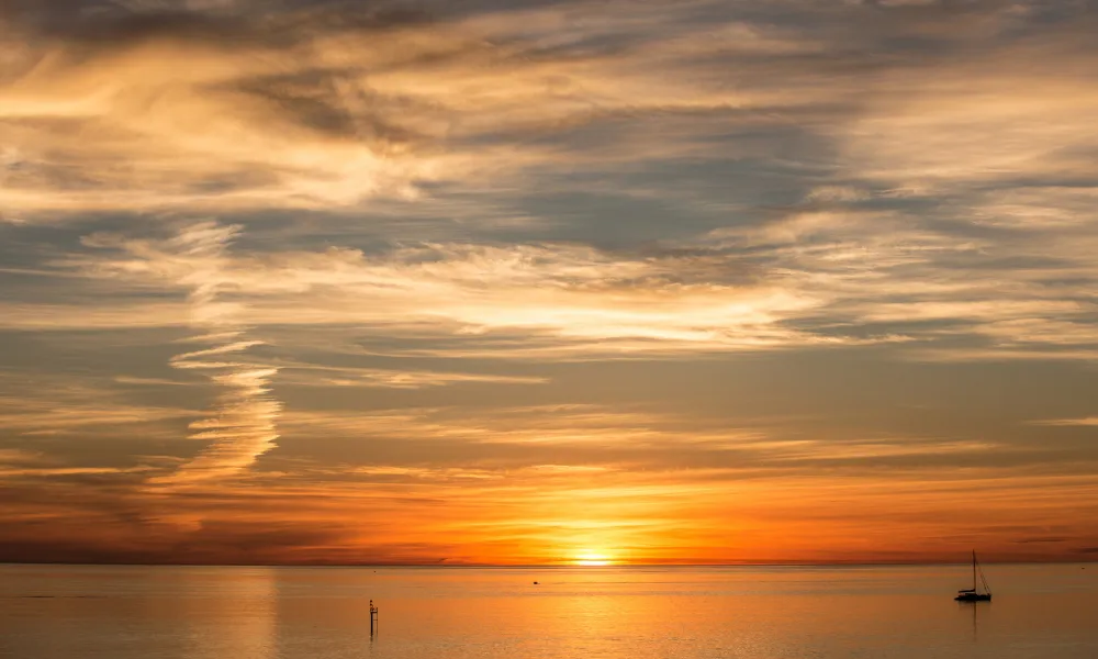 Adelaide Highlight Tour & Wine Tasting - Full Day | Experience Oz-2