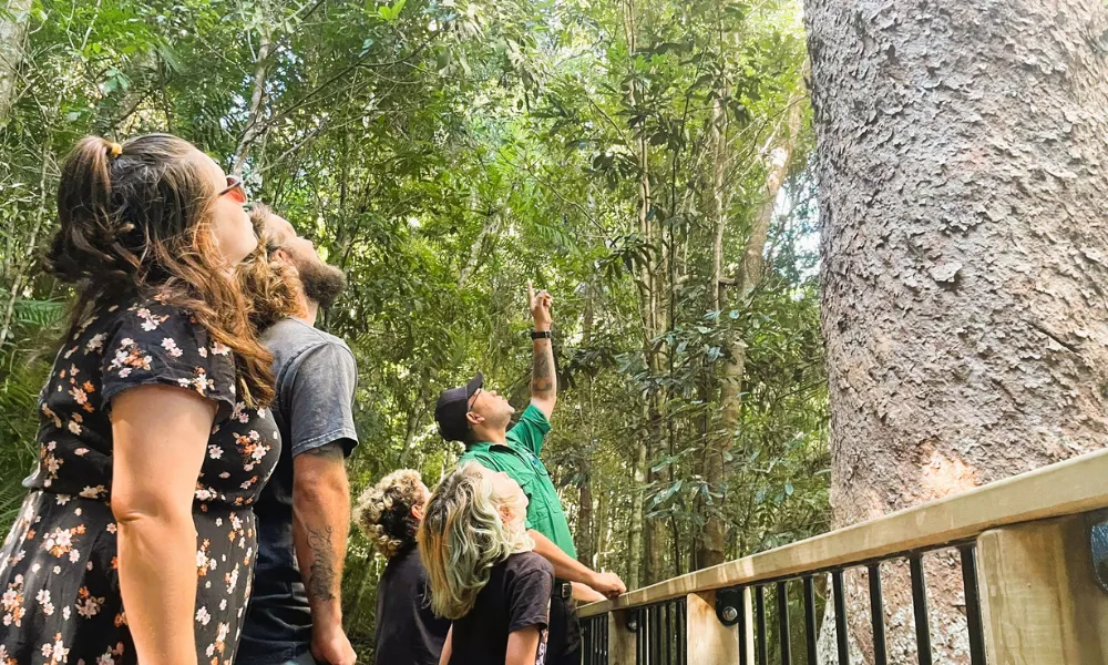 Atherton Tablelands Aboriginal Culture Day Tour | Experience Oz-4