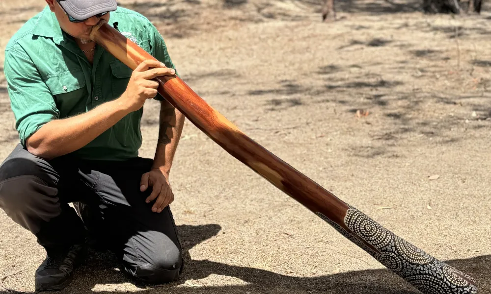 Atherton Tablelands Aboriginal Culture Day Tour | Experience Oz-3