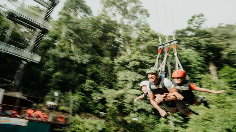 Cairns Tandem Rainforest Swing Adventure - For 2