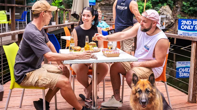 Cairns Tandem Rainforest Swing Adventure - For 2