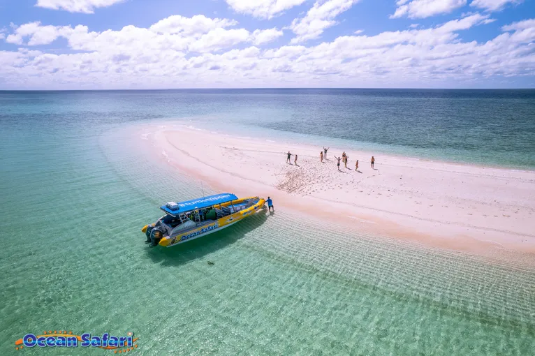 Rainforest & Great Barrier Reef Adventure, 2 Days - Daintree