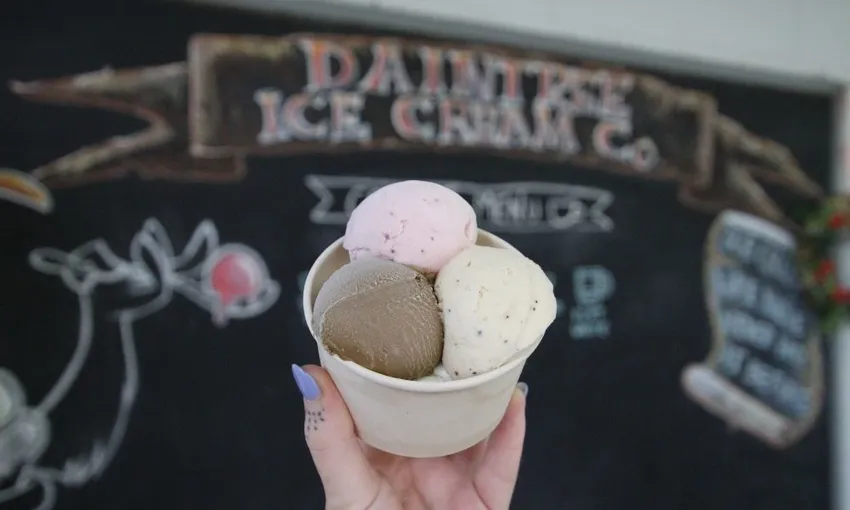 Rainforest & Great Barrier Reef Adventure, 2 Days - Daintree