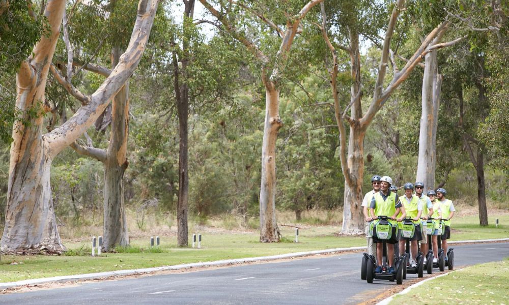 Guided Segway Tour, 90 Minutes - Kings Park, Perth