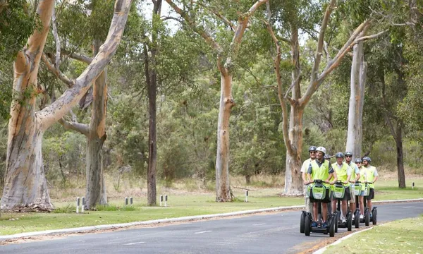 Guided Segway Tour, 90 Minutes - Kings Park, Perth