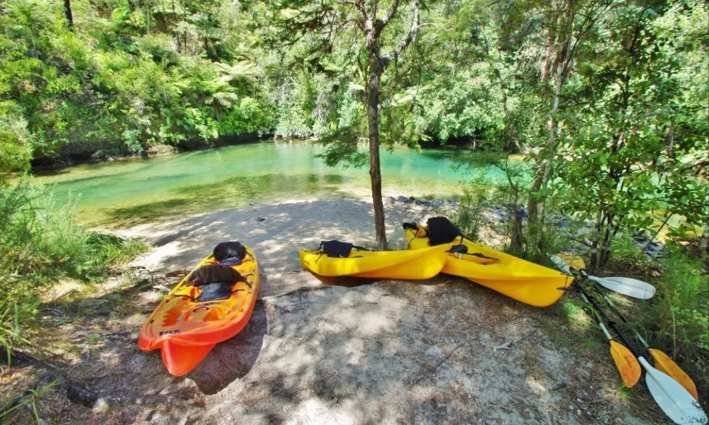 Abel Tasman Kayak & Cruise Tour - Full Day | Experience Oz + NZ-4