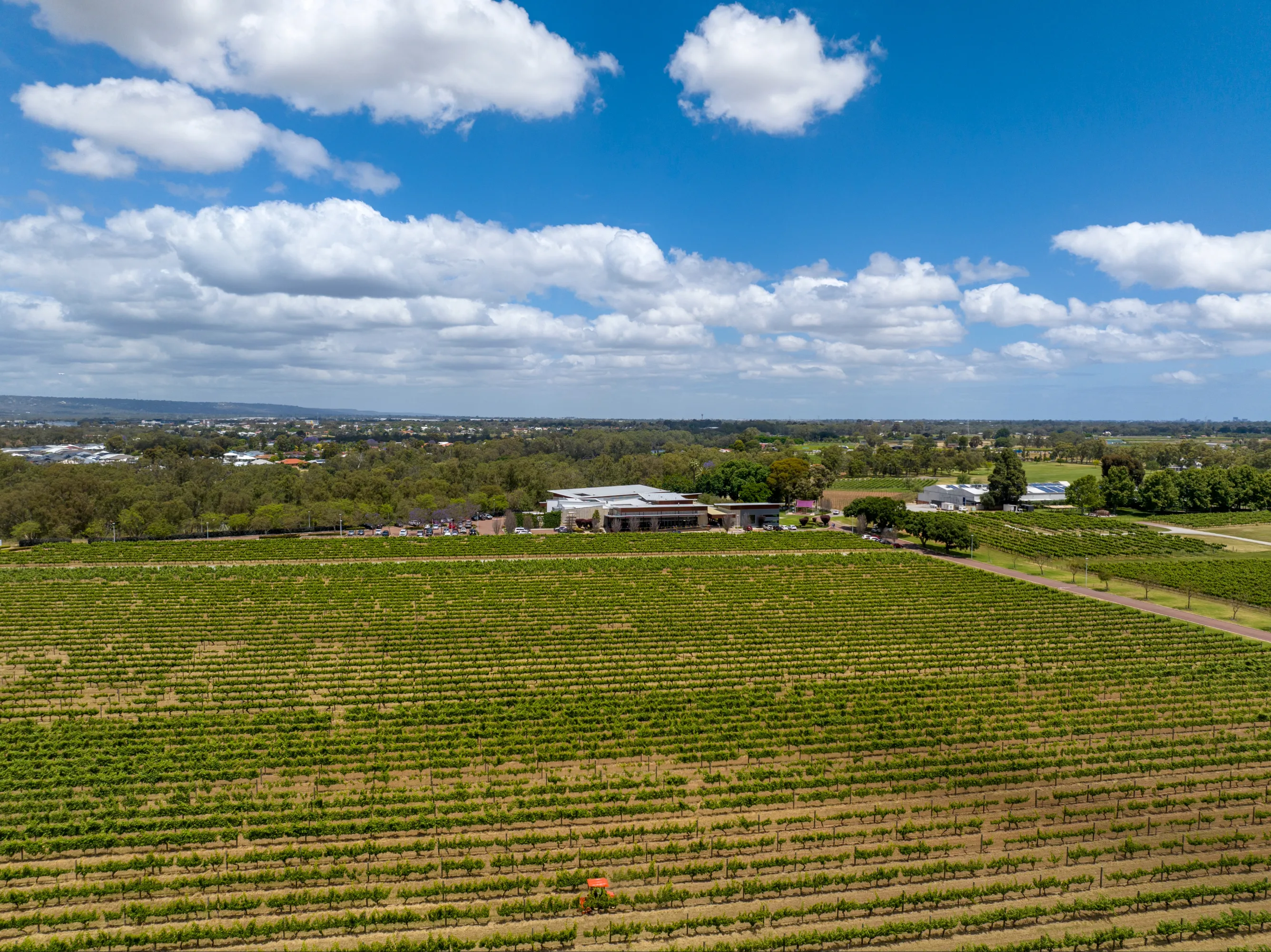 Caversham Wine & Canape Tasting - For 2 | Experience Oz-5