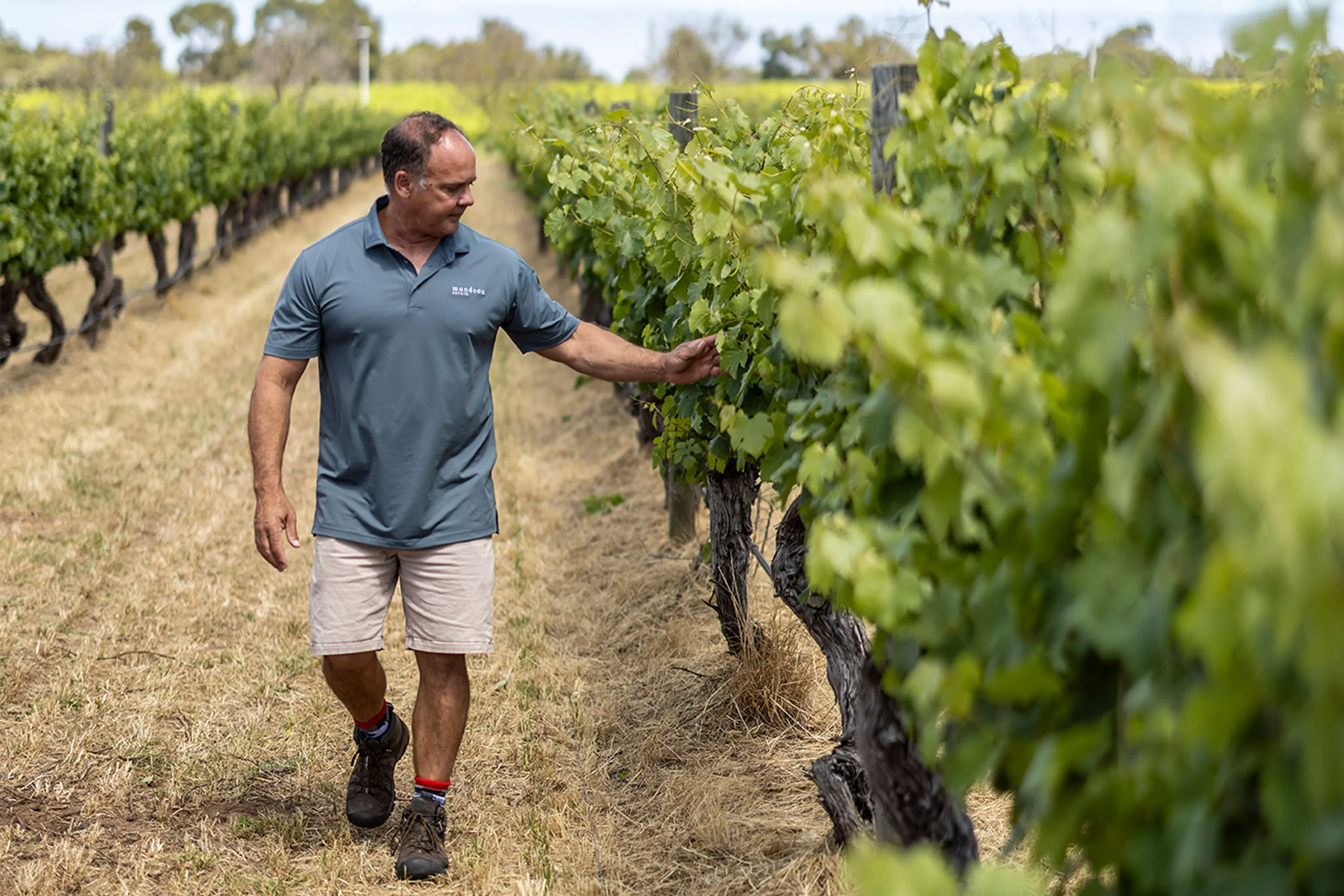 Caversham Wine & Canape Tasting - For 2 | Experience Oz-3