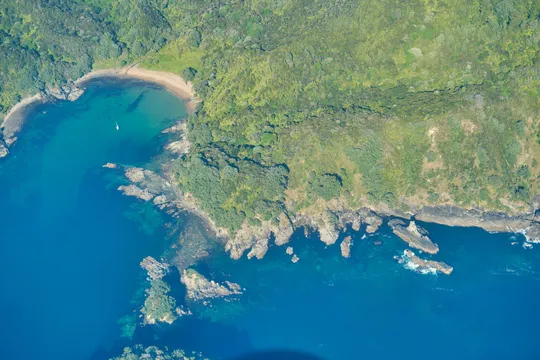 Coromandel Coast Flight from Tauranga - 90 Minutes
