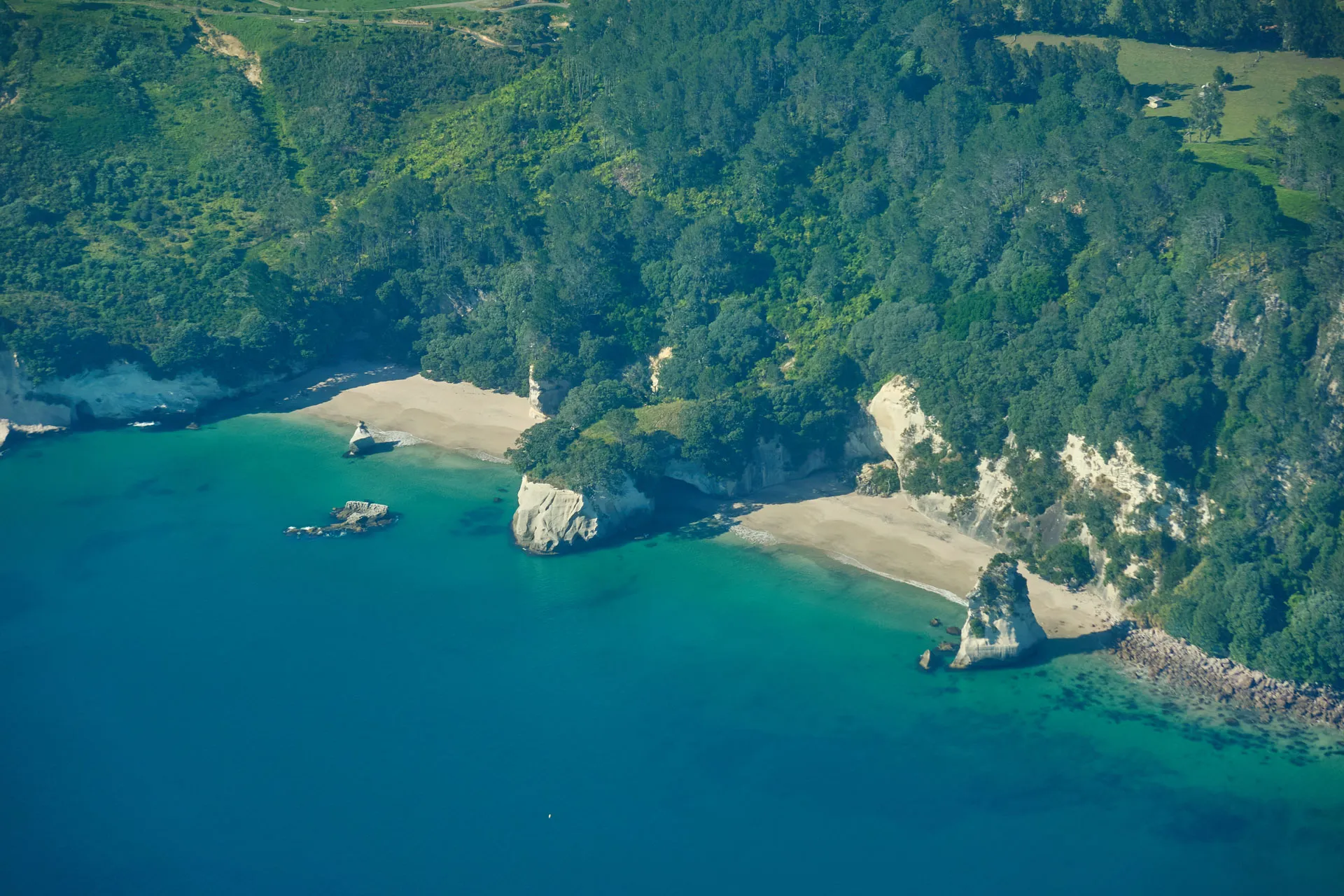 Coromandel Coast Flight from Tauranga | Experience Oz + NZ-6
