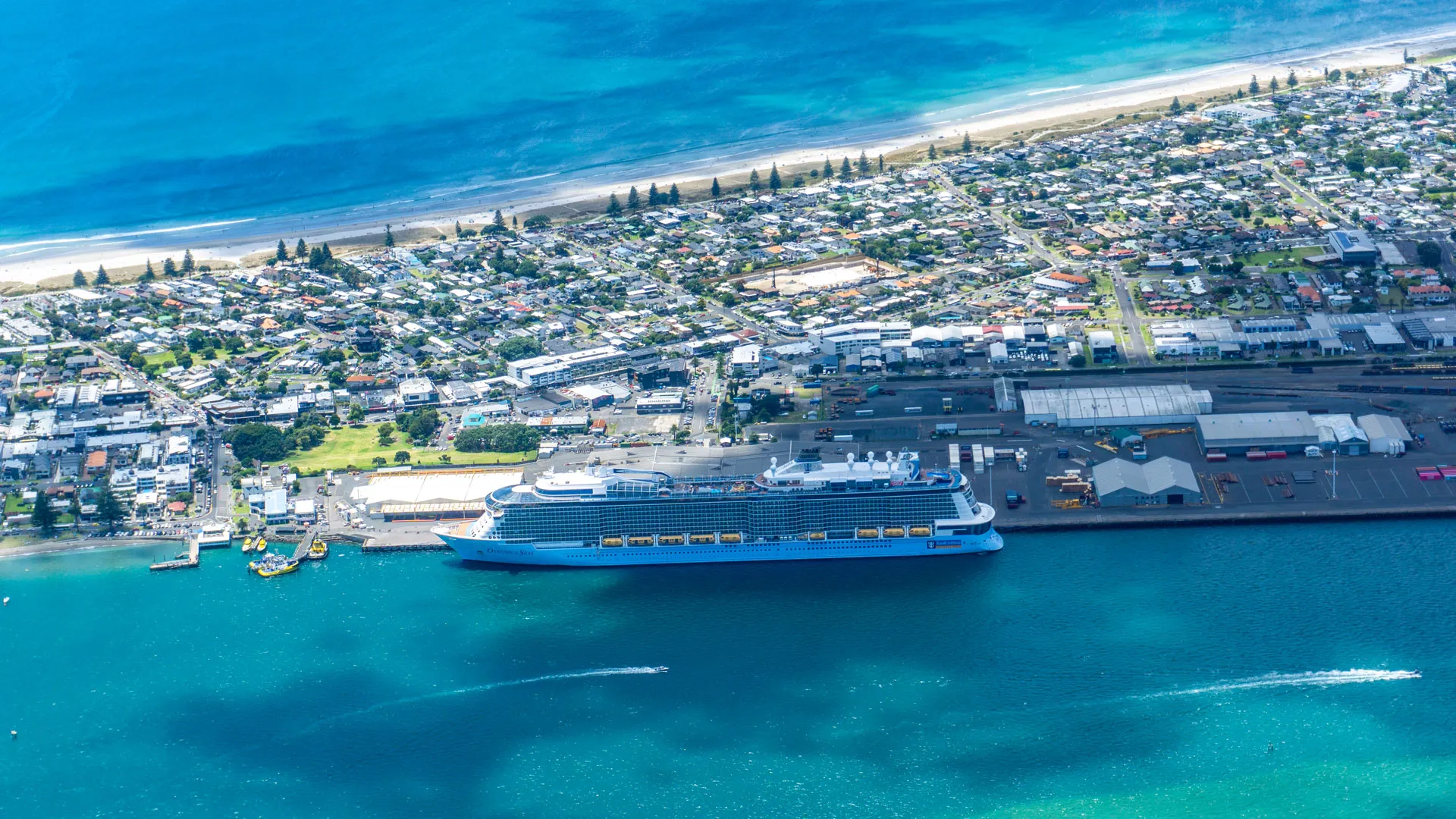 Mount Maunganui Flight from Tauranga | Experience Oz + NZ-1