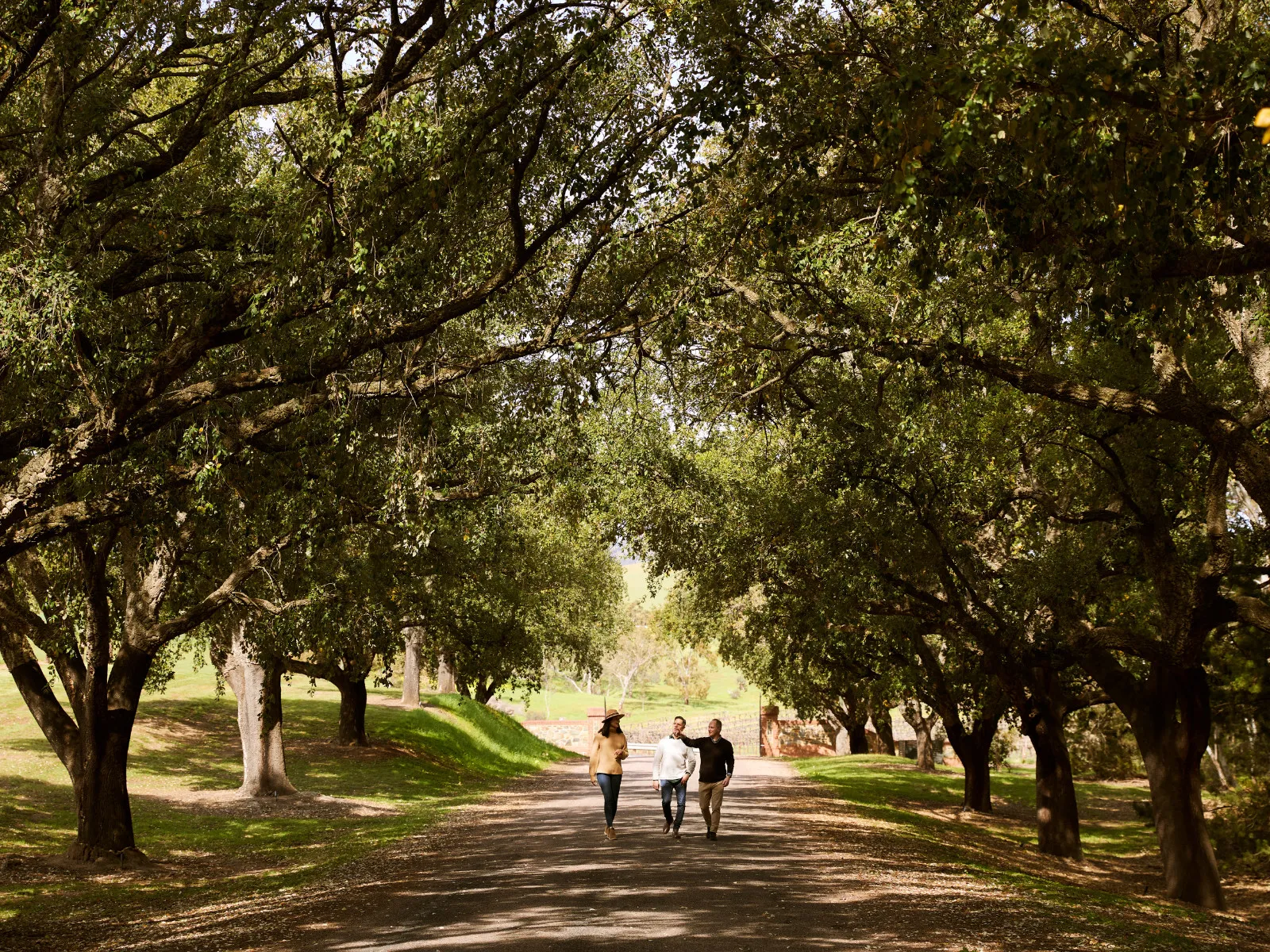 St Hugo Heritage Tour with Premium Tasting - For 2 | Experience Oz-2