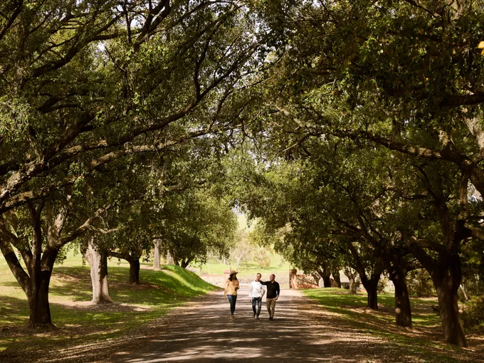 St Hugo Heritage Tour with Premium Tasting - For 2 | Experience Oz