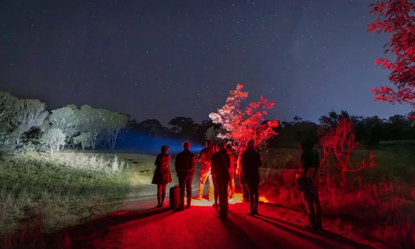 Wildbark Visitor Centre Twilight Tour - 2.5 Hours | Experience Oz