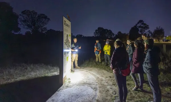 Wildbark Visitor Centre Night Tour and Transfers - 2.5 Hours