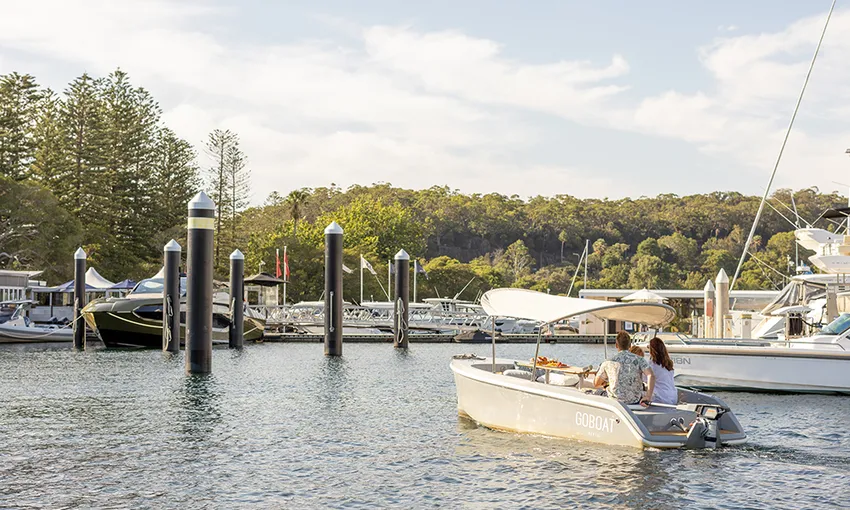 Mosman Dog Friendly Picnic Boat Hire - 2 Hours | Experience Oz