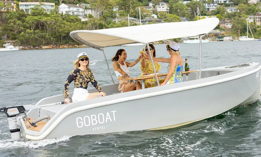 Mosman Dog Friendly Picnic Boat Hire - 2 Hours | Experience Oz