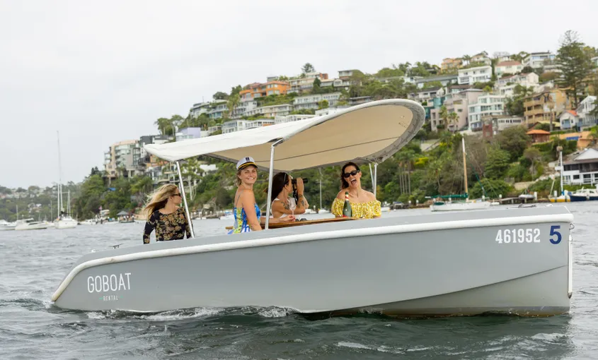 Mosman Dog Friendly Picnic Boat Hire - 2 Hours | Experience Oz