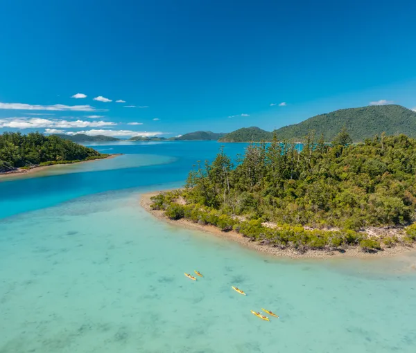 Kayaking Guided Turtle Tour, Half Day - Whitsundays