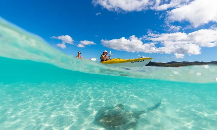 Kayaking Guided Turtle Tour, Half Day - Whitsundays