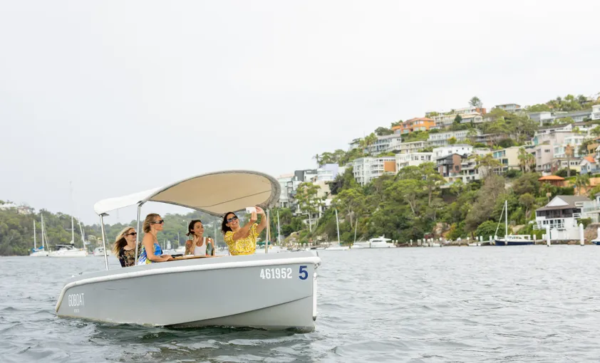 Mosman Dog Friendly Picnic Boat Hire - 3 Hours | Experience Oz
