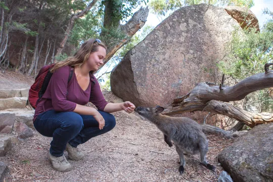 Wineglass Bay and Freycinet National Park Tour - Full Day