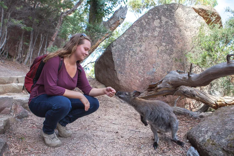 Wineglass Bay and Freycinet National Park Tour | Experience Oz