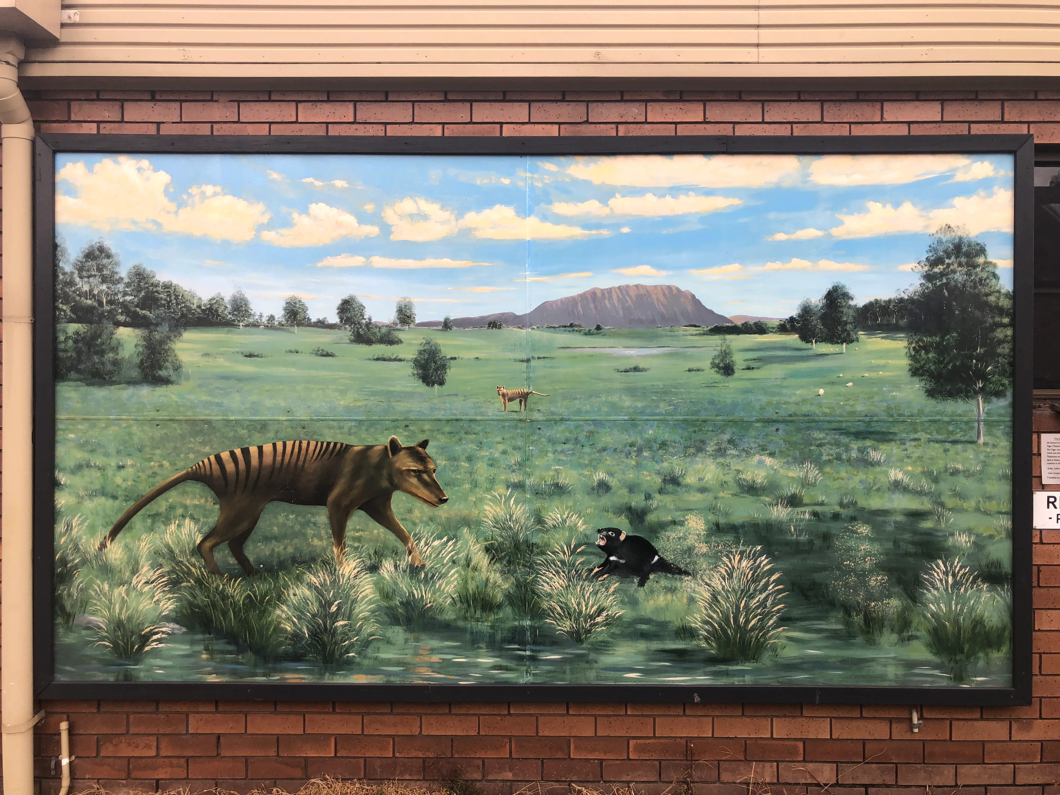 Cradle Mountain National Park Tour - Full Day | Experience Oz-7