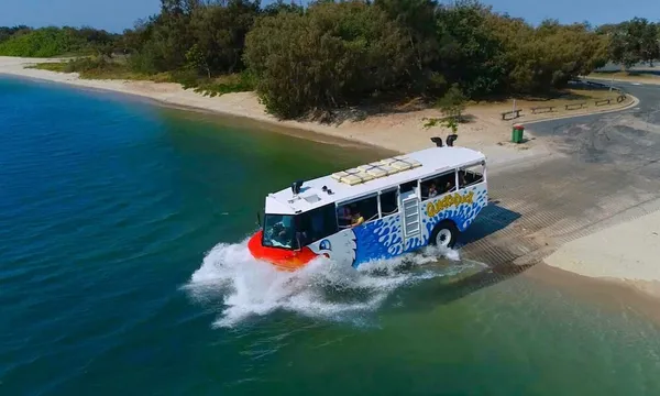 Sea and Land Bus Tour, 1 Hour - Gold Coast