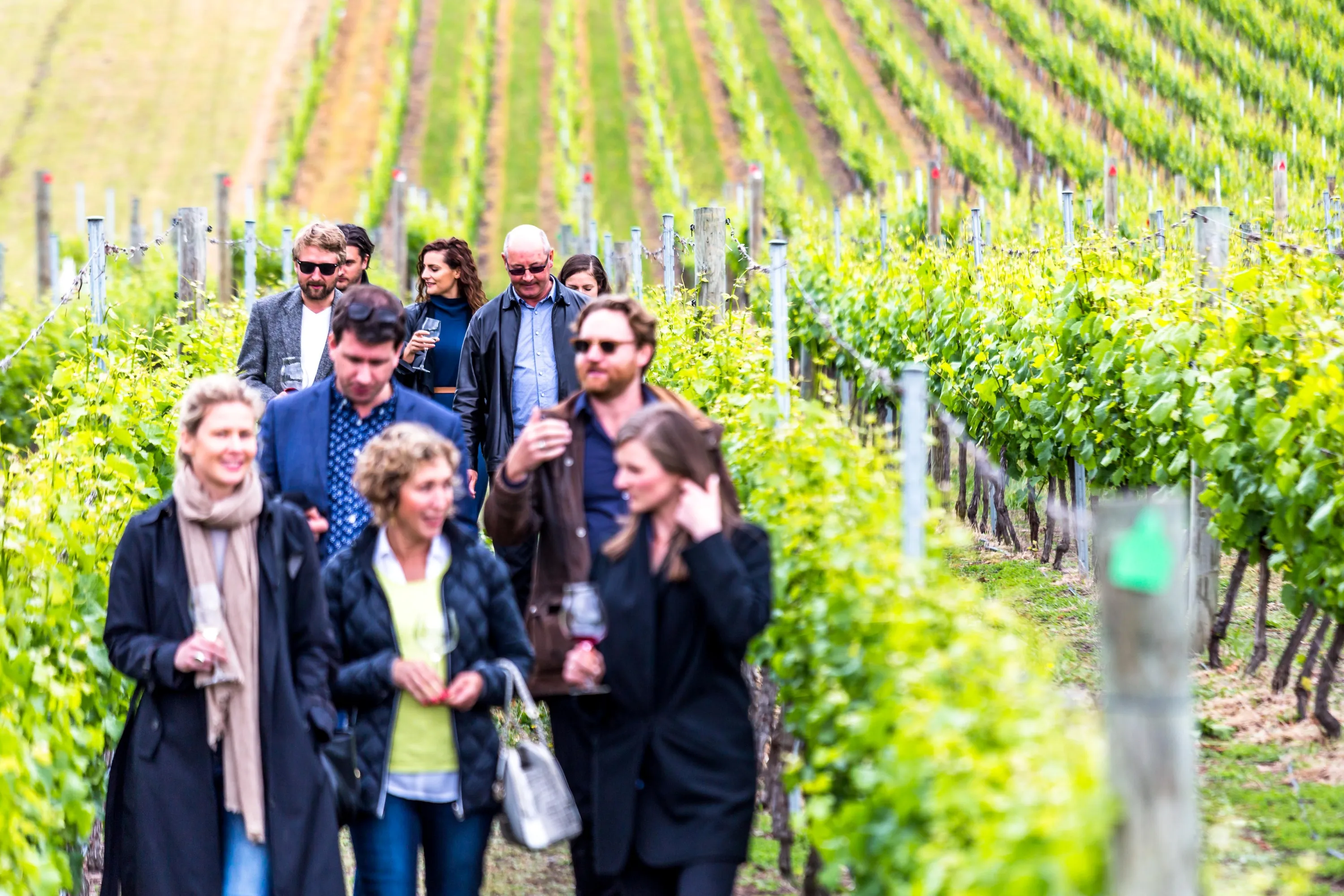 Huon Valley Tasting Tour & Transfers - Full Day | Experience Oz-4
