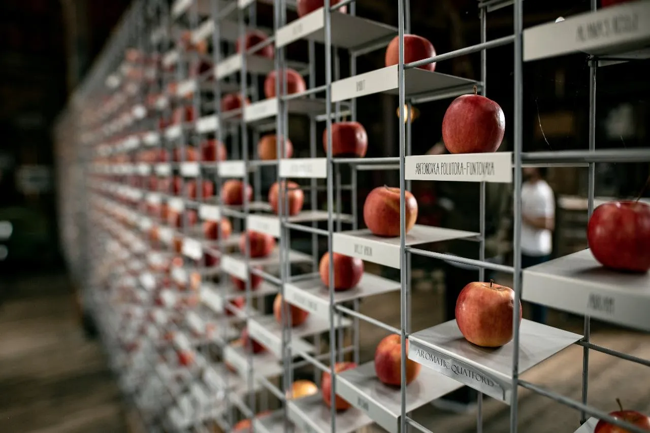 Huon Valley Tasting Tour & Transfers - Full Day | Experience Oz-6