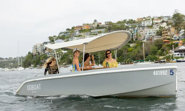 Dog Friendly Electric Picnic Boat Hire, 3 Hours - Mosman