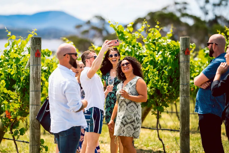 Tasmania Wine Tours, Tasting & Cheese - Full Day | Experience Oz