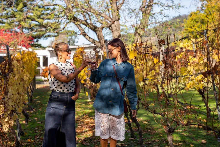 Tasmania Wine Tours, Tasting & Cheese - Full Day | Experience Oz