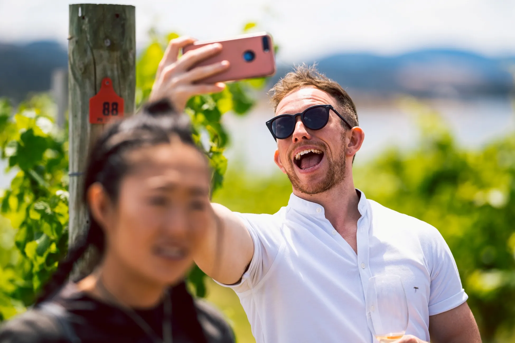 Tasmania Wine Tours, Tasting & Cheese - Full Day | Experience Oz-2