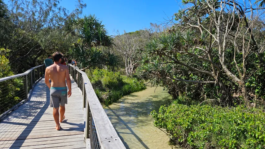 K’gari Fraser Island Tour with Meals from Noosa | Experience Oz