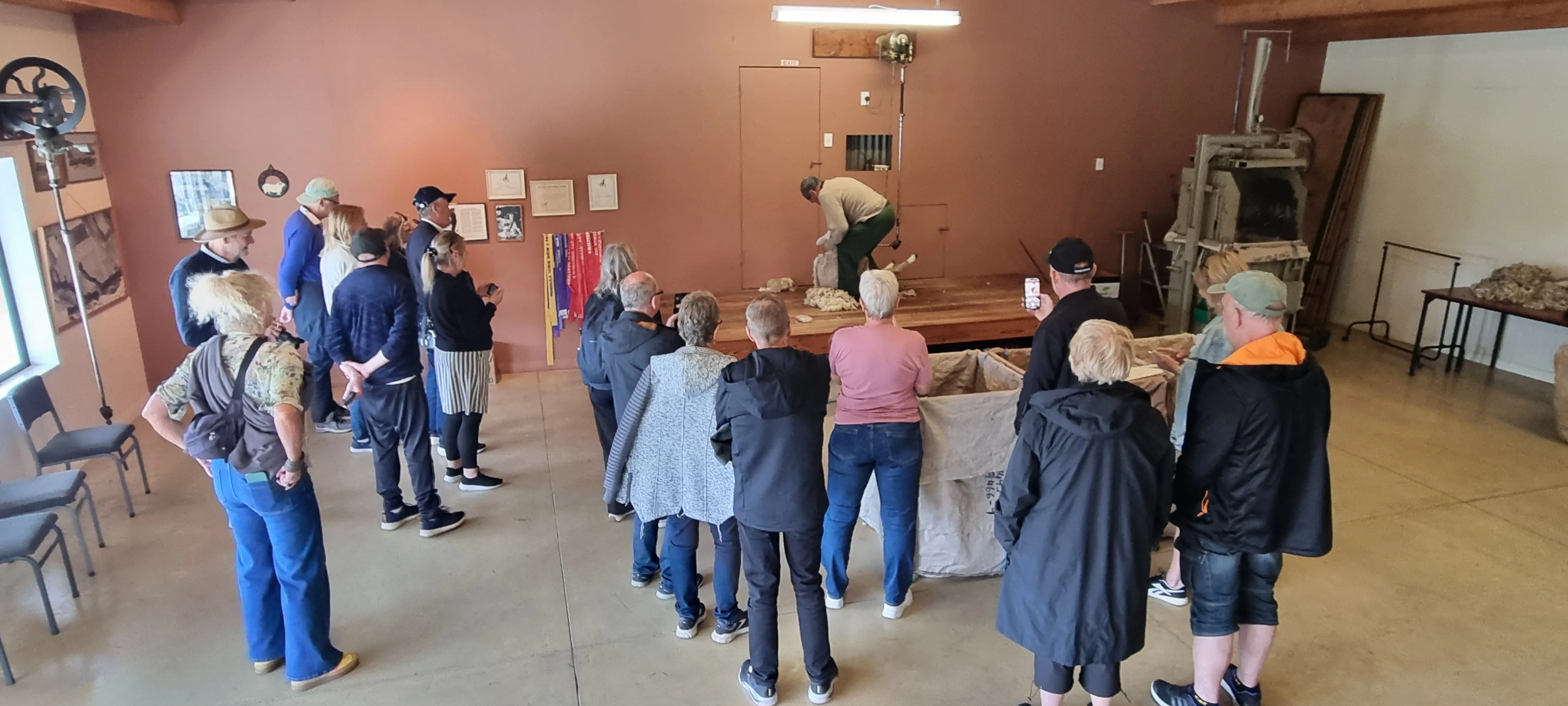 Train Ride to Arthur's Pass - Full Day | Experience Oz + NZ-4