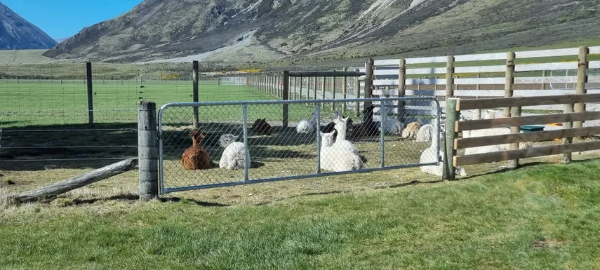 Train Ride to Arthur's Pass - Full Day | Experience Oz + NZ